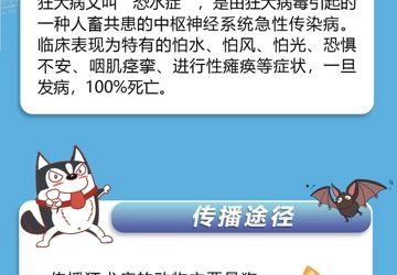 预防狂犬病做好这三步